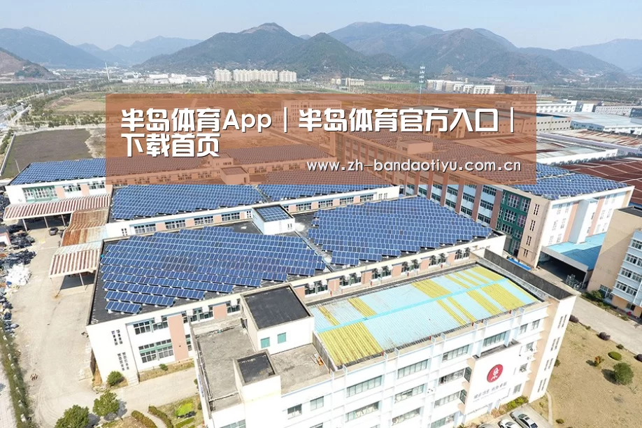 案例展示一