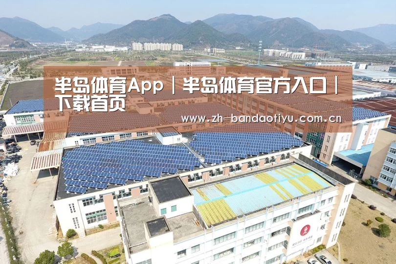 案例展示四