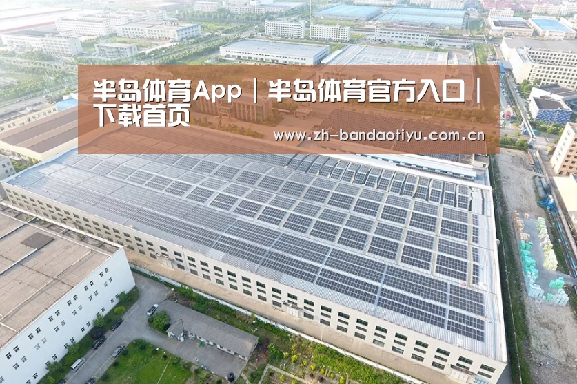 案例展示三
