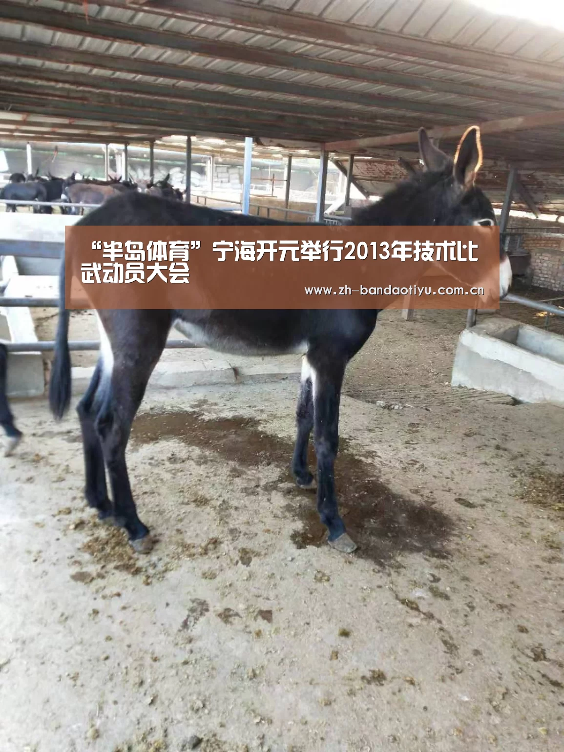 “半岛体育”宁海开元举行2013年技术比武动员大会(图1) 半岛体育下载