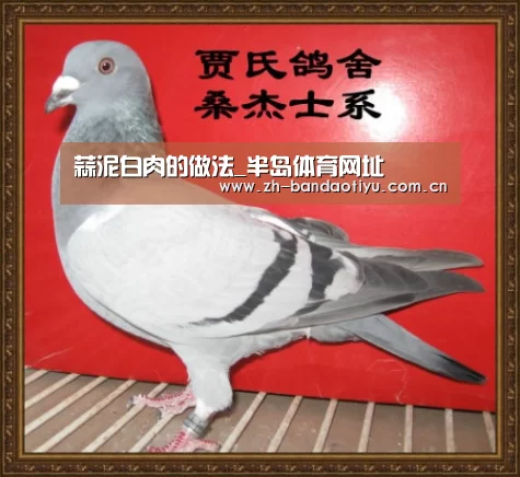 半岛体育官网