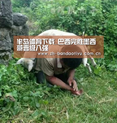 半岛体育官网