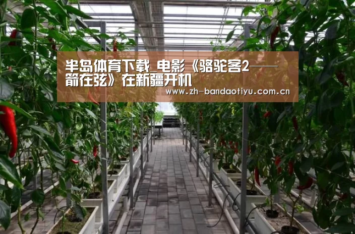 半岛体育网址