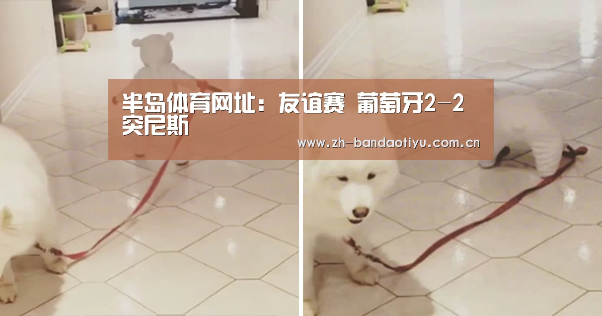 半岛体育网址:友谊赛 葡萄牙2-2突尼斯(图2) 半岛体育