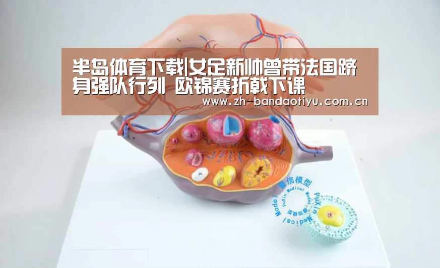 半岛体育下载|女足新帅曾带法国跻身强队行列 欧锦赛折戟下课(图2) 半岛体育